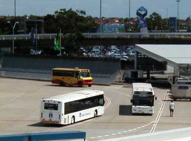 Westbus Mercedes Kingsford International